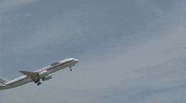 653f56f3781d5.gif 653f56f3781d5.gif